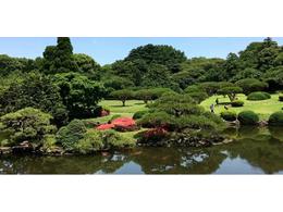 园林景观植物绿化配置方法